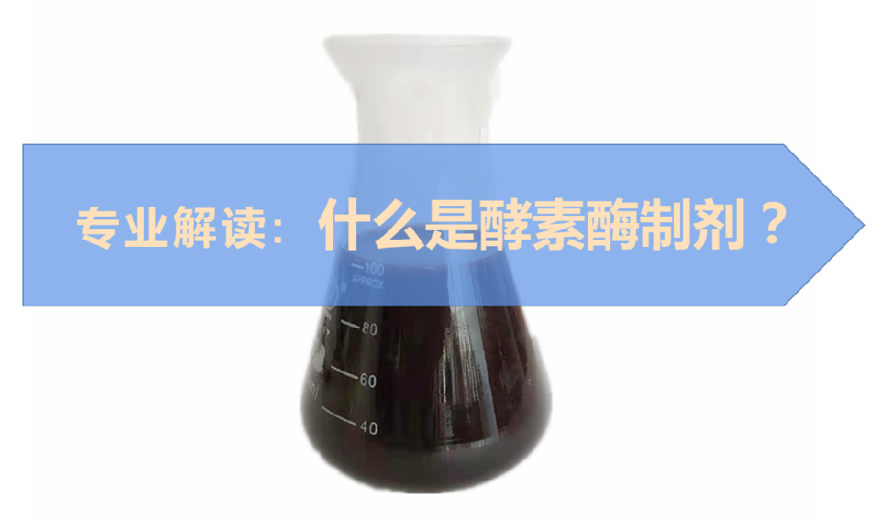 什么是酵素酶制劑？它具體有哪些作用？